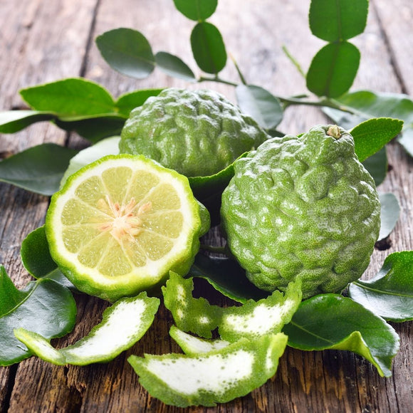 Bergamot Essential Oil